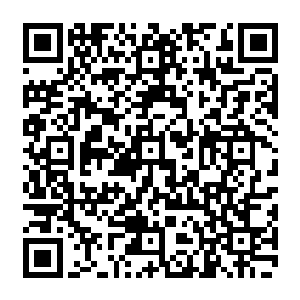 炼丹师最多带着认识一下灵压的种类名称作用和辨别方法还有说明炼丹的关键步骤程序二维码生成