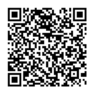 炼制成渔网……张潇晗一下子就想起她得到的炼器传承里的炼制方法了二维码生成