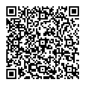炼狱魔主身上那厚实坚硬的暗金色铠甲竟然在这些绿叶的切割之下迅速浮现出了一道道深深的划痕二维码生成