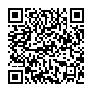 热血……但完全不同于眼下真实史实的历史背景呈现了出来二维码生成