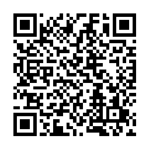 焦场长仍旧是对杨锐和他的遗传工程实验室羡慕嫉妒恨二维码生成