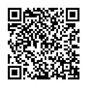 焦礼的银行账号刚才他在打电话核实钱是否到账时已经说出来了二维码生成