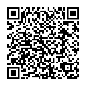 然后……天哥一定会带领我们找到不止是让庇护者能够白日飞升的办法二维码生成