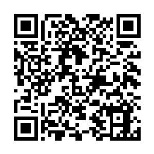 然后一副乖巧婢女的模样把一脸淡漠的流墨墨扶了下去二维码生成