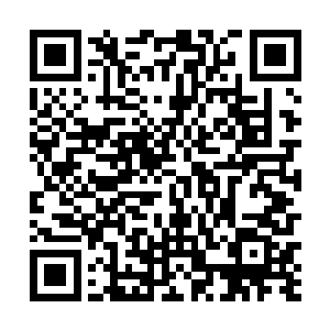 然后上了野猪按我要求准备的一辆自动档的丰田卡罗拉二维码生成