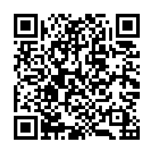 然后不管是近距离品鉴的三人和在他们身旁跟着看的敖无暇二维码生成