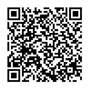 然后两个人便是很是认真的讨论起有关合作探讨的具体时间之类的二维码生成