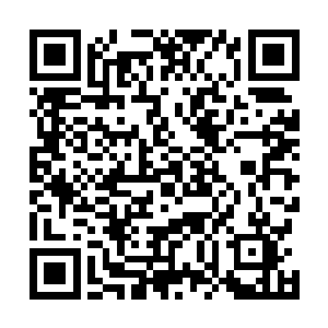 然后从储物戒指中取出一柄二尺余长的梅花尺交给尚云燕二维码生成