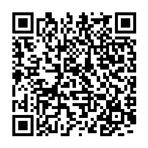 然后他们亲眼目睹了苏凡从下车到最后干掉其他几人上车的所有过程二维码生成