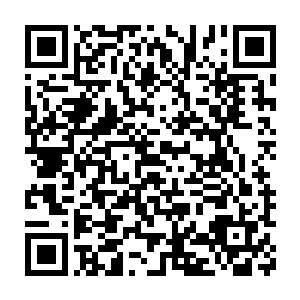 然后他就相当干脆的丢了几个注码在闲家上了……他刚才注意到了二维码生成
