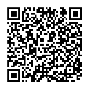 然后他就眼睁睁的看着塔尔塔把车开到了远离安东诺夫设计局的一个小树林二维码生成