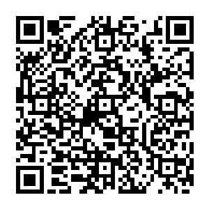 然后他狠狠的收起丹药御去灵剑愤怒的把自己双掌上被血毒腐蚀的变成粉色的血肉全部割除二维码生成