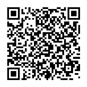 然后仗着自己的大运气在山中似没头苍蝇似的乱撞了几天活了下来二维码生成