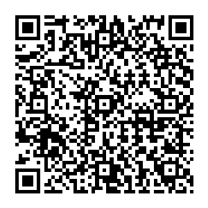 然后你就操纵里面的母舰炮台去打虫子――反正就是跟洪大力原世界的航海大冒险差不多……二维码生成