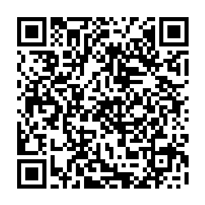 然后再搞一个发布会啥的表达一下政斧一定会保护本国公民的安全之类的事情二维码生成