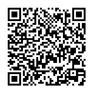 然后再让你给挑出来……就算你一直瞪眼瞅着他怎么往袋子里扔的二维码生成