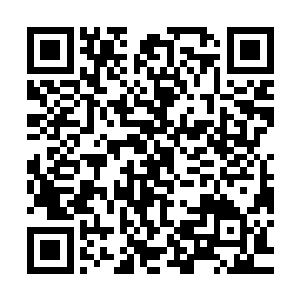 然后动作迅速的把几本已经看的差不多的书迅速跑过去塞回书橱二维码生成