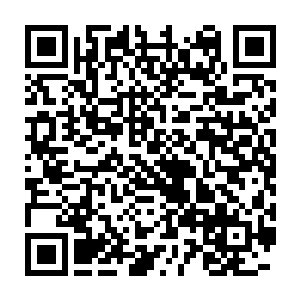 然后又经过了青龙那木系本源之力长时间滋润的树种也终于重焕生机二维码生成