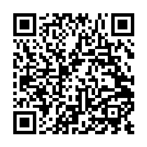 然后听着你的宿管在门外轮流给你的监护人打电话二维码生成