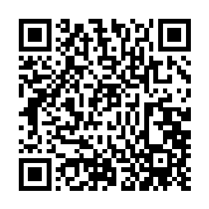 然后和皇道家族的其余强者悄无声息的跟在百族家族的后面二维码生成