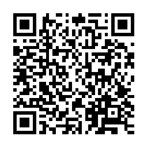 然后嘛……自然是很不客气的从那个同行手里抢到这一单生意的二维码生成
