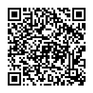 然后在他看着自己的时候弹出珍藏许久的尖爪抬爪在训练室的墙壁上抓了一下二维码生成