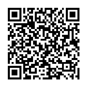 然后在刻意的打扮之下更是表现出一副天生丽质的样子二维码生成