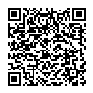 然后在它的脑海里出现了一副其他任何人类永远都无法看到的画面二维码生成