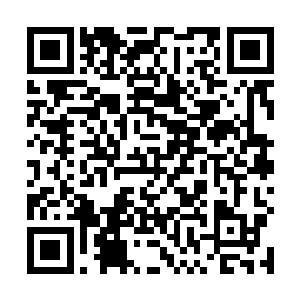 然后对着那条缠绕在恶魔之门上的白色巨蟒冷喝了一声二维码生成