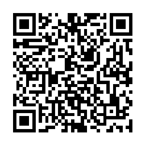 然后将尸体丢到大街上去……别用这样的眼神看着我二维码生成