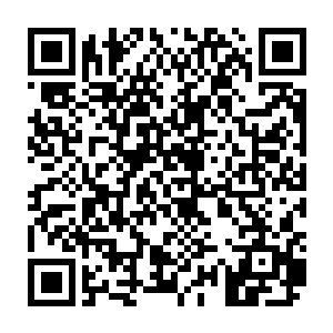 然后小纯的身影和窝在一起的几名金丹期修仙者周围的幻境出现在流墨墨面前二维码生成