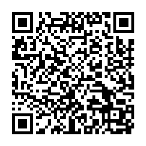 然后就会发现好多可以吃的野果或者成堆的坚硬的没法咬开的果实二维码生成