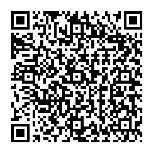 然后就拉着他的三个儿子走过场一样的和在这里的等着他的金光城中的一干宿老名流简单寒暄二维码生成