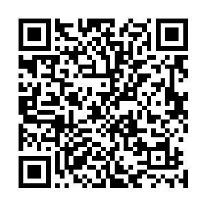 然后就是全身撕裂般的剧痛开始冲击着他的中枢神经和大脑二维码生成