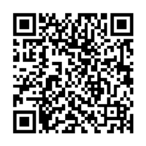 然后就还把刚刚还在他面前耍着嘴皮子的周白飞狠狠砸在了地上二维码生成