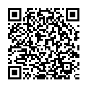 然后怀着一颗紧张不安和充满期待的心情走到了主卧室的门前二维码生成