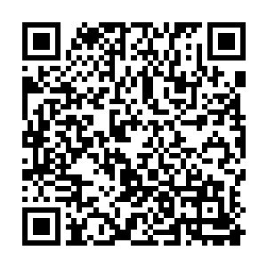 然后成功的死在了一次对大型食草动物的捕猎中――它被一只斑马踢了一脚二维码生成