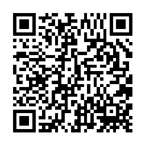 然后我已经痛得麻木的手腕又一次被抓住狠狠的一拉二维码生成