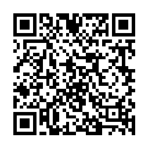 然后我把你在拉普兰德演讲里的论文给他们发了过去二维码生成