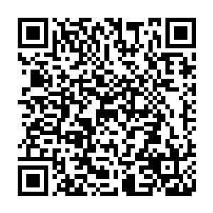 然后抱起叶璃分身略上了小径便的山坡落在了一颗垂满了绿藤的古树上面二维码生成