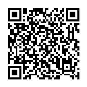 然后指着那两位曾被他们打昏在加长林肯车当中的小弟二维码生成