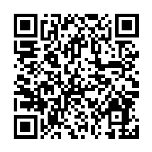 然后捞起来了一小撮破碎石门周围的泥土用手指搓了一会儿二维码生成