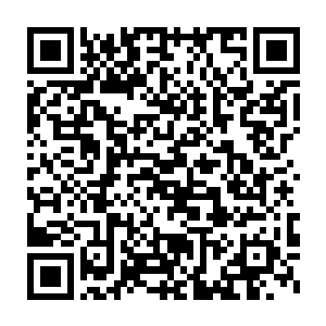 然后是一阵令人毛骨悚然的咔嚓咔嚓的声音伴随着无比凄厉的惨叫声二维码生成