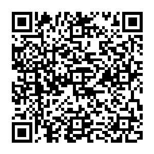 然后流墨墨只惊愕的看在白光这个给自己手腕放血的猛然用自己的血把王室武装浇成鲜红色二维码生成