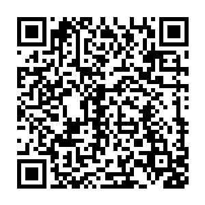 然后流墨墨只让敖樱兰和敖景云跟在石星凯他们身边盯着点儿情况二维码生成