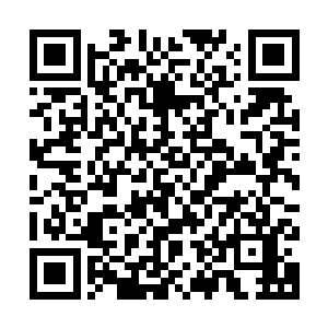 然后流墨墨指了指树心上的两堆手臂粗泛着淡青光泽的灵木说道二维码生成