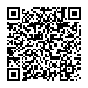 然后灰团子就像个会飞的刺猬一样就在几百人的一样的眼神的注视下二维码生成