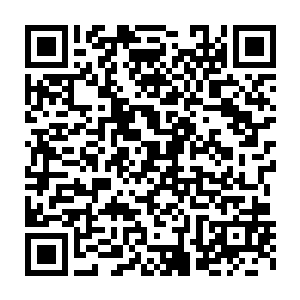 然后狠狠的一拳轰击在地面上……顿时就有无尽狂暴的力量释放了出来二维码生成