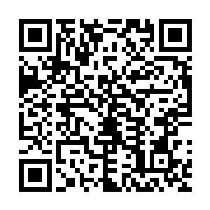 然后猛的分化成一股股璀璨光华飞射到所有龙族与血妖姬眉心二维码生成