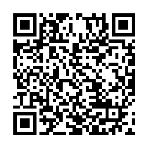 然后用尽全身的力气将依旧酣睡的阿佑推进了枯井……二维码生成